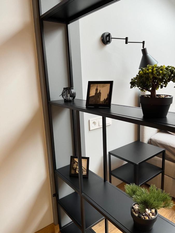 Cosy Apartments In 克拉科夫 外观 照片